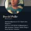 David PALLE